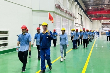 精益求精 全员改善 | 世俱杯app官方入口纸业第七届精益TPM改善之旅圆满结束