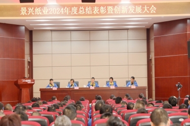 乘风破浪 逐梦前行 | 世俱杯app官方入口纸业2024年度总结表彰暨创新发展大会隆重召开