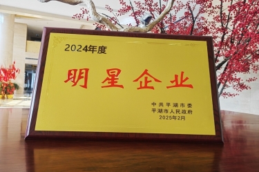 新春新景新气象 | 世俱杯app官方入口纸业在平湖三干大会上喜摘荣誉！