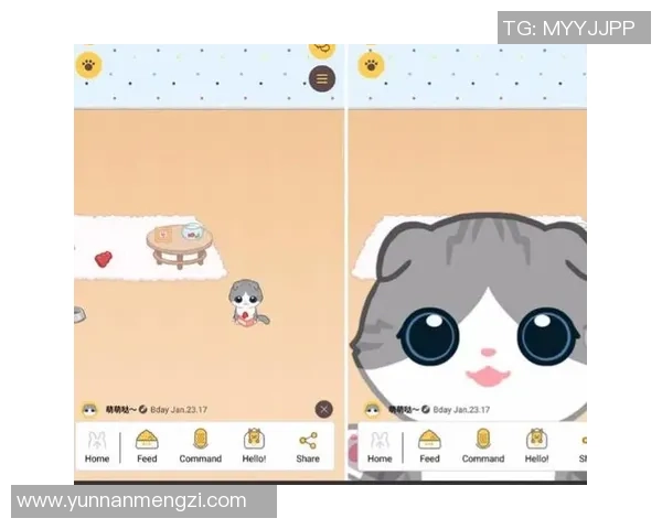 从游戏玩家到开发者的成长之路与心路历程分享 从游戏玩家到开发者的成长之路与心路历程分享